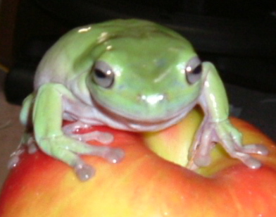 d-green