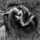 D1903748_small