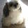 hkaida